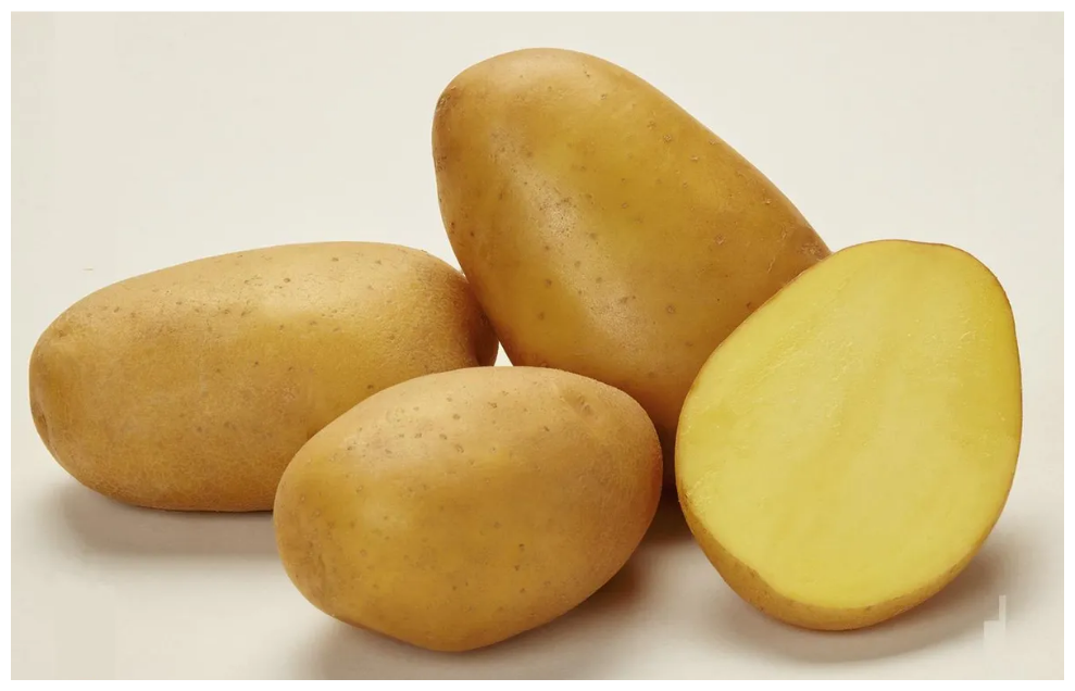 Семенной селекционный картофель Джувел, репродукция Супер Элита, 2 кг - фотография № 1