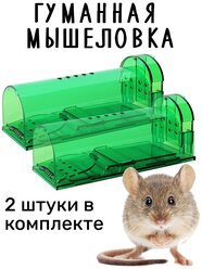 Мышеловка гуманная, живоловка для дома и дачи, (ловушка для мышей и кротов), комплект из 2 штук, зеленая