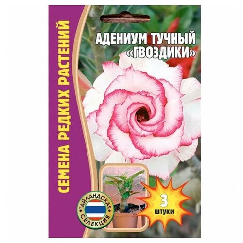 Семена Адениума тучного гвоздики (3 сем.) семена адениума танец бабочки 3 сем 2 подарка