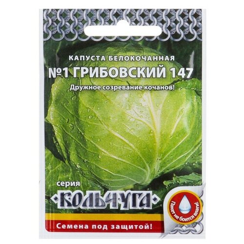 Семена Капуста белокочанная Номер первый Грибовский 147 серия Кольчуга, 0,5 г семена капуста белокочанная номер первый грибовский 147 серия кольчуга 0 5 г 8 упаковок