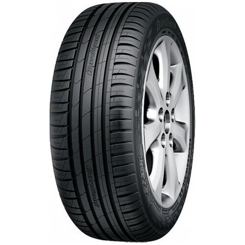 205/55 R16 Cordiant Sport 3 91V