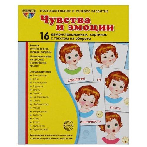 Демонстрационные картинки "Чувства и эмоции" 16 картинок с текстом, 173х220мм