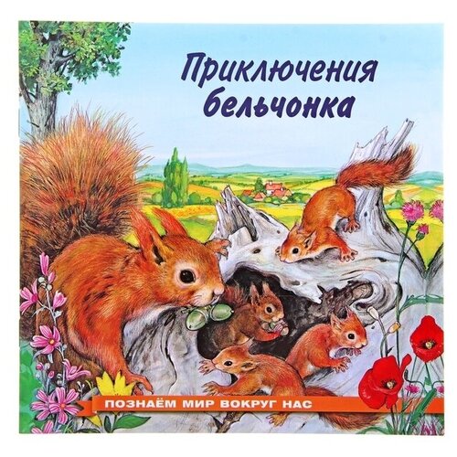 «Приключения бельчонка», Гурина И. В. лунева елена николаевна новикова инна викторовна гурина ирина владимировна основы мелиорации и ландшафтоведения учебное пособие