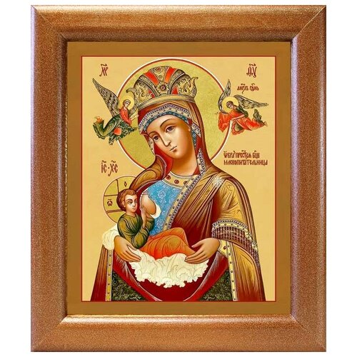 Икона Божией Матери Млекопитательница, в широкой рамке 19*22,5 см донская икона божией матери в широкой рамке 19 22 5 см