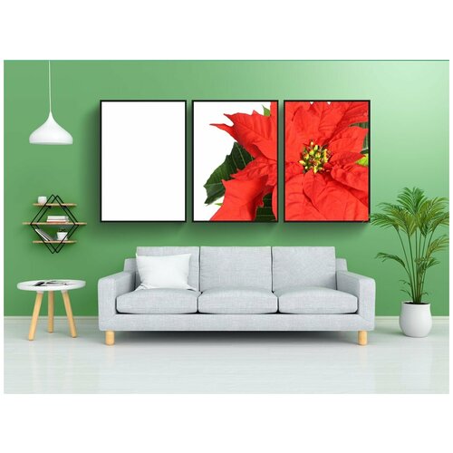 фото Набор модулных постеров для интерьера "молочай замечательный, завод, цветок" 60x90 см. в тубусе, без рамки lotsprints