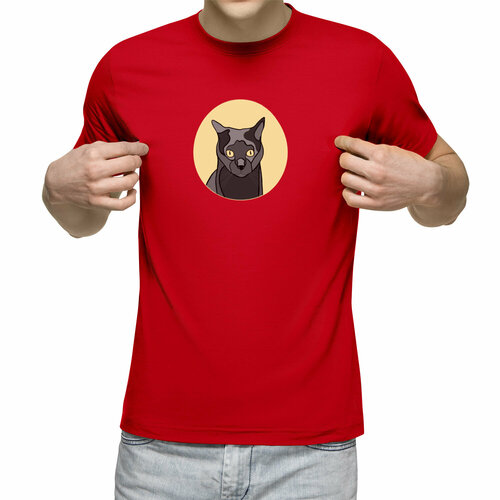 Футболка Us Basic, размер 2XL, красный мужская футболка кот зомби l черный
