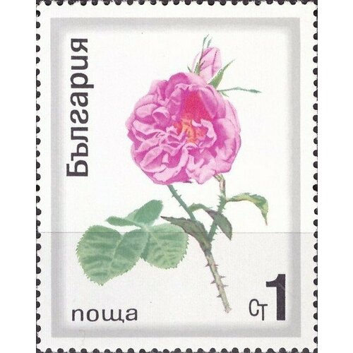 (1970-028) Марка Болгария Масличная роза Розы III Θ 1970 033 марка болгария роза с бутонами розы i θ