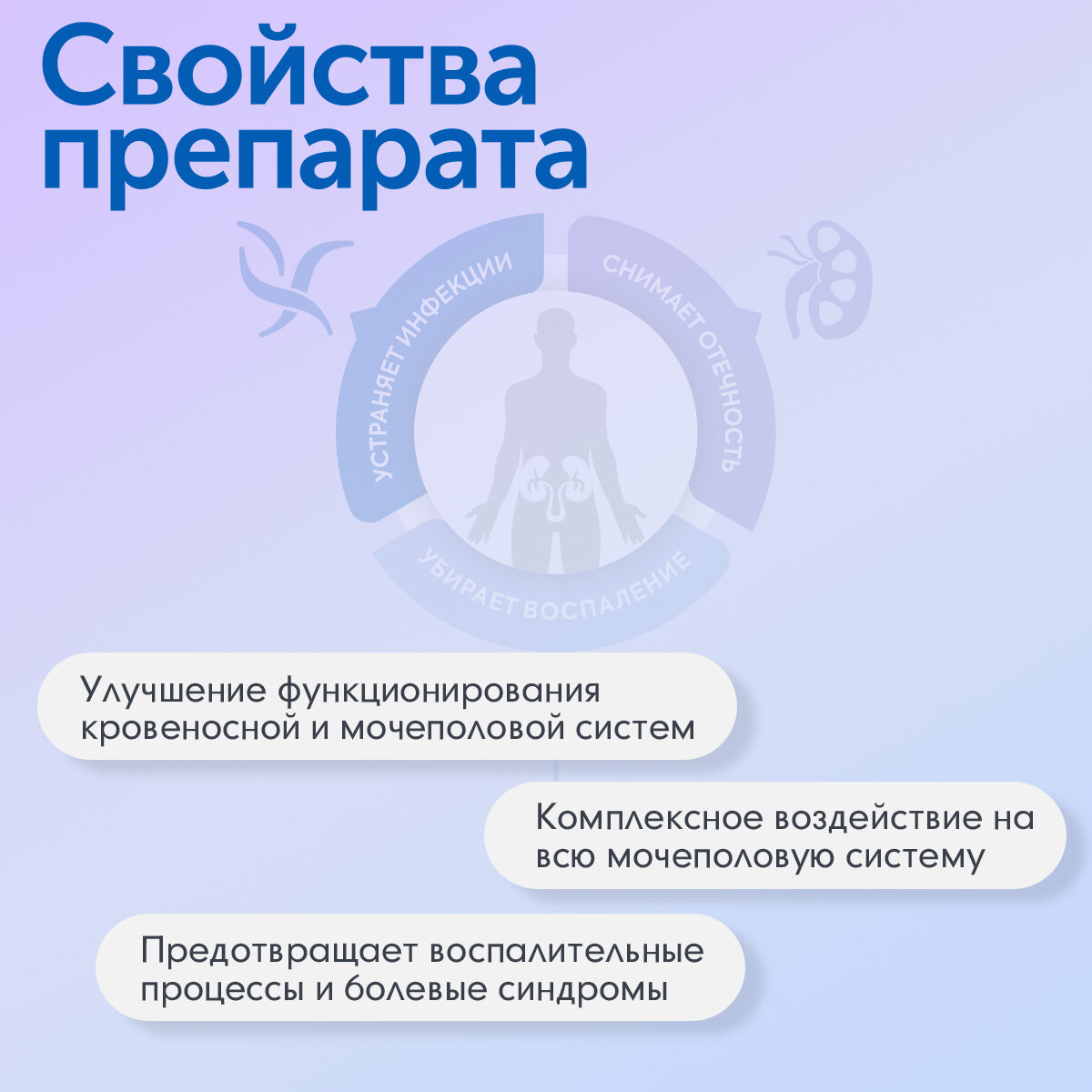 Изображение Реноксин натуральный комплекс для поддержки мочеполовой системы