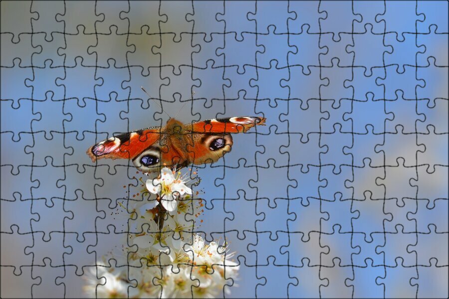 Магнитный пазл "Бабочка, бабочка павлиний, цветы" на холодильник 27 x 18 см.