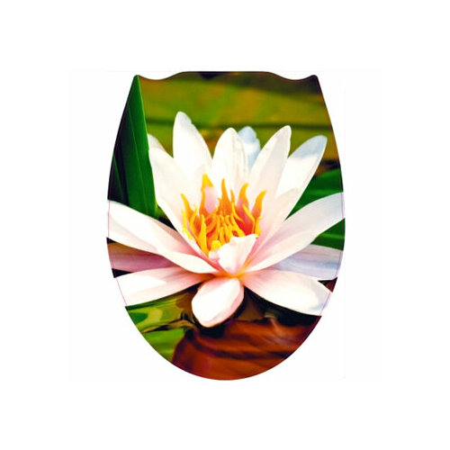 Сиденье для унитаза фотопринт лотос 126 799₽