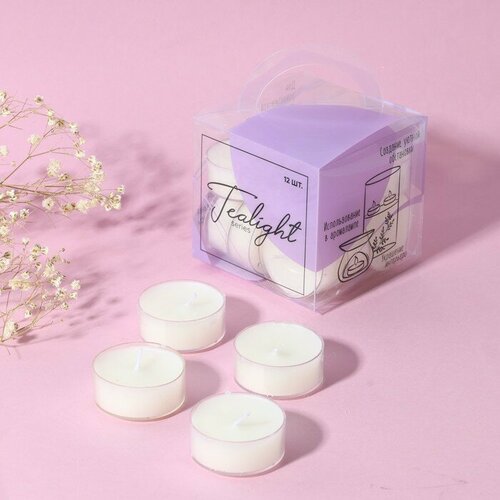 SUI Набор чайных свечей Sweet home 12 шт 763₽