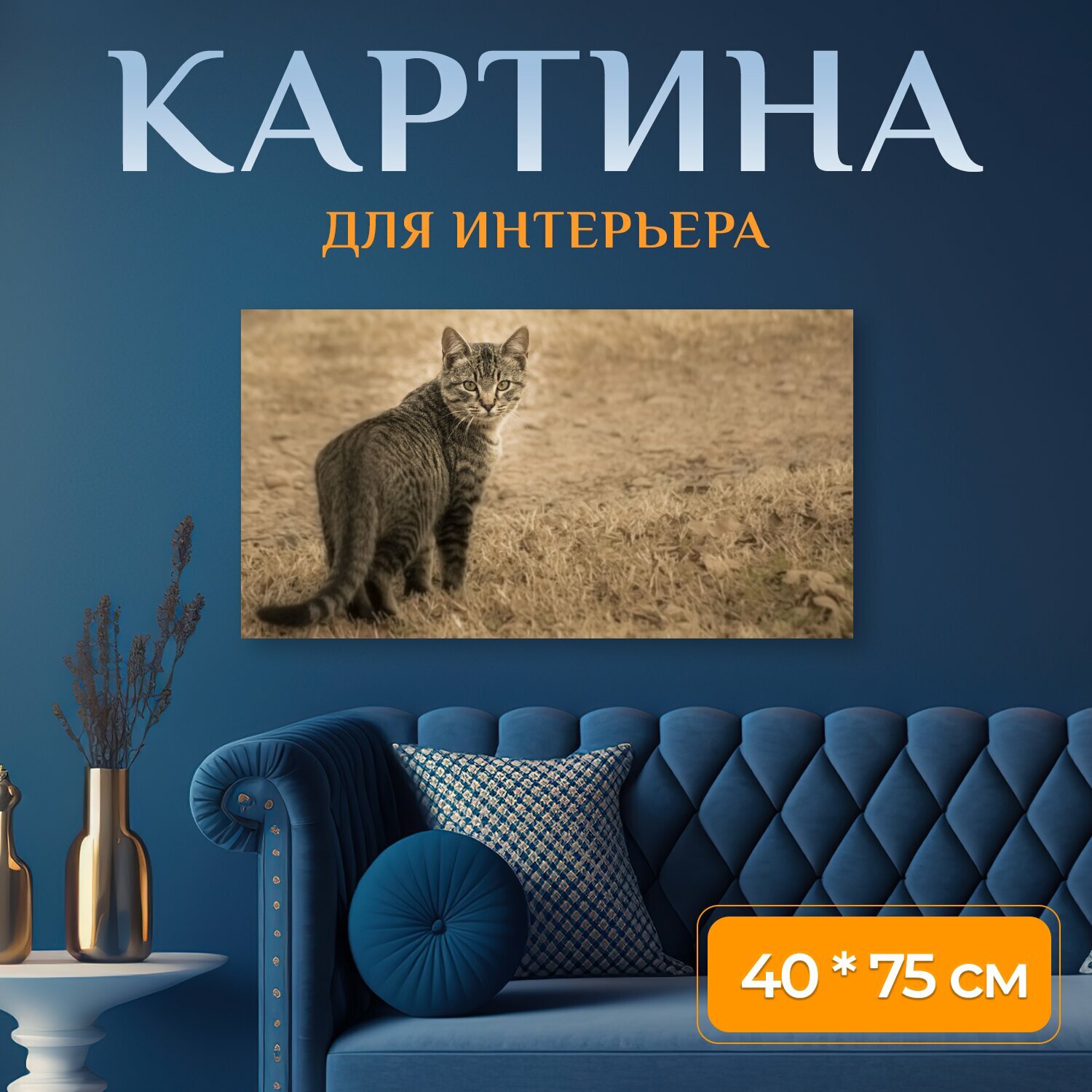 Картина на холсте "Кошка домашняя кошка домашний питомец" на подрамнике 75х40 см. для интерьера