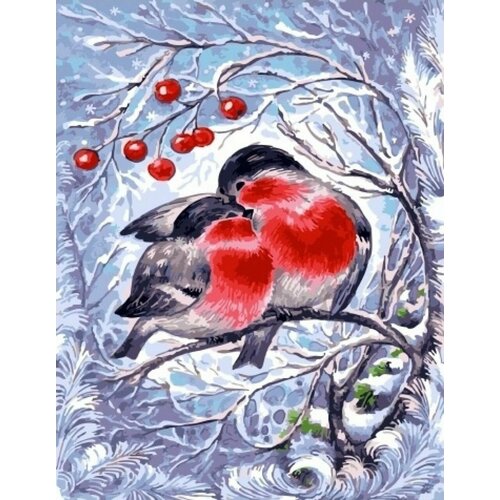 Картина по номерам Пара снегирей холст на подрамнике 40x50 см, GX21707