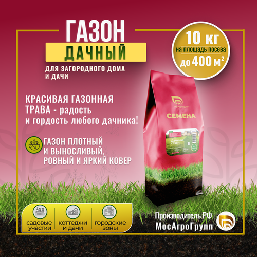 Семена газонной травы Дачный газон 10 кг Мосагрогрупп семена газонной травы универсальный газон 10 кг мосагрогрупп