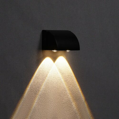 Светильник фасадный Каскад FSD-094 2 Вт 3000К 2 луча IP65 220 В металл черный 1164₽