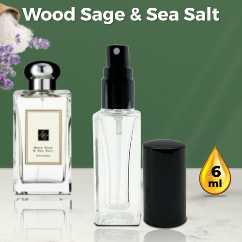 Wood Sage And Sea Salt - Духи унисекс 6 мл + подарок 1 мл другого аромата crazydankos духи женские масляные wood sage and sea salt вуд сейдж энд си салт спрей 8 мл