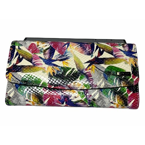 Кошелек VOSTRO, мультиколор, зеленый