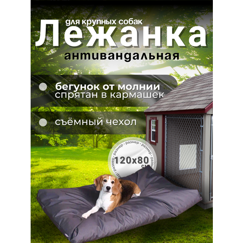 Лежанка антивандальная со съёмным чехлом, для кошек и собак крупных пород, 120х80х10см