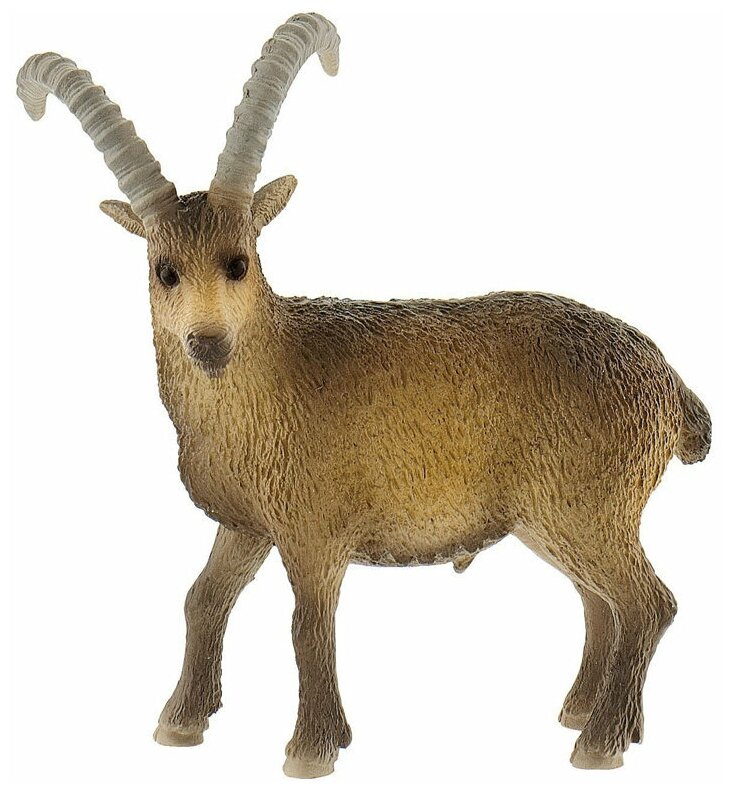 Альпийский горный козёл или ибекс 8,7 см Capra ibex — фигурка-игрушка  дикого животного 62755 — купить в интернет-магазине по низкой цене на  Яндекс Маркете