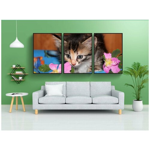 фото Набор модулных постеров для интерьера "кот, котенок, домашнее животное" 60x90 см. в тубусе, без рамки lotsprints