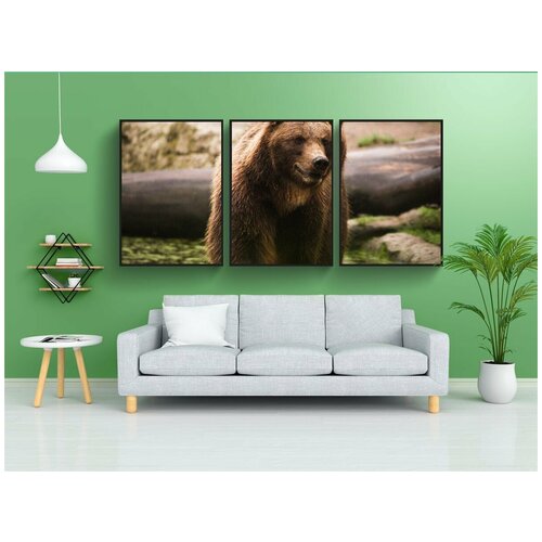 фото Набор модулных постеров для интерьера "млекопитающее, дикая природа, природа" 60x90 см. в тубусе, без рамки lotsprints