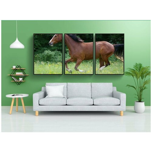фото Набор модулных постеров для интерьера "лошадь, галопом, животное" 60x90 см. в тубусе, без рамки lotsprints