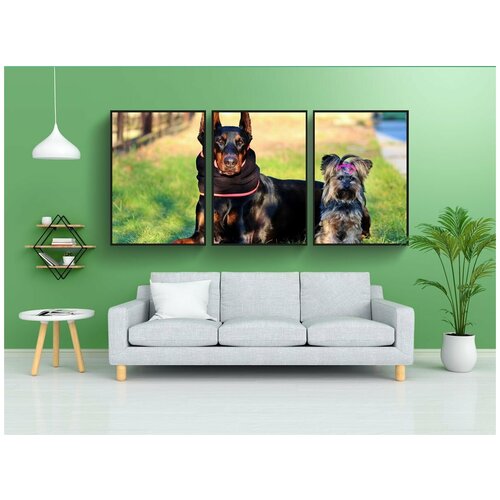 фото Набор модулных постеров для интерьера "доберман, йоркширский терьер, собак" 60x90 см. в тубусе, без рамки lotsprints