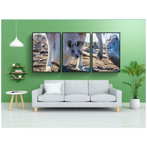 фото Набор модулных постеров для интерьера "джоуи, кенгуру, детка" 60x90 см. в тубусе, без рамки lotsprints