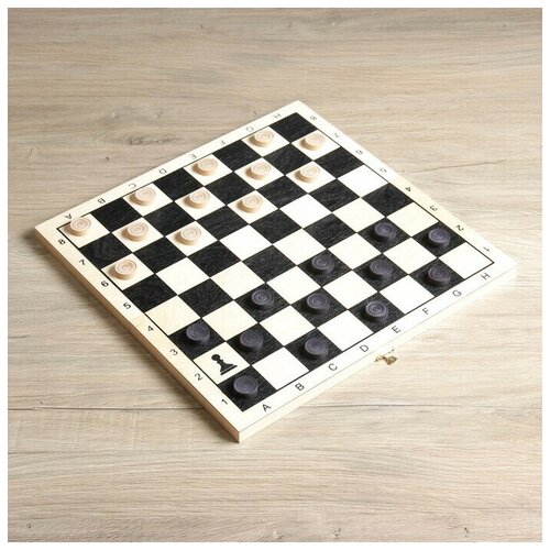 ООО Окно в мир Шашки 