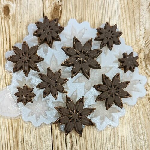 Молд Бадьян