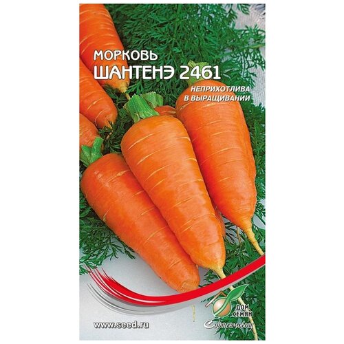 Морковь Шантенэ 2461, 1250 семян
