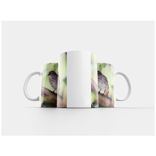 фото Кружка "птица, горихвостка, природа" 320 мл lotsprints