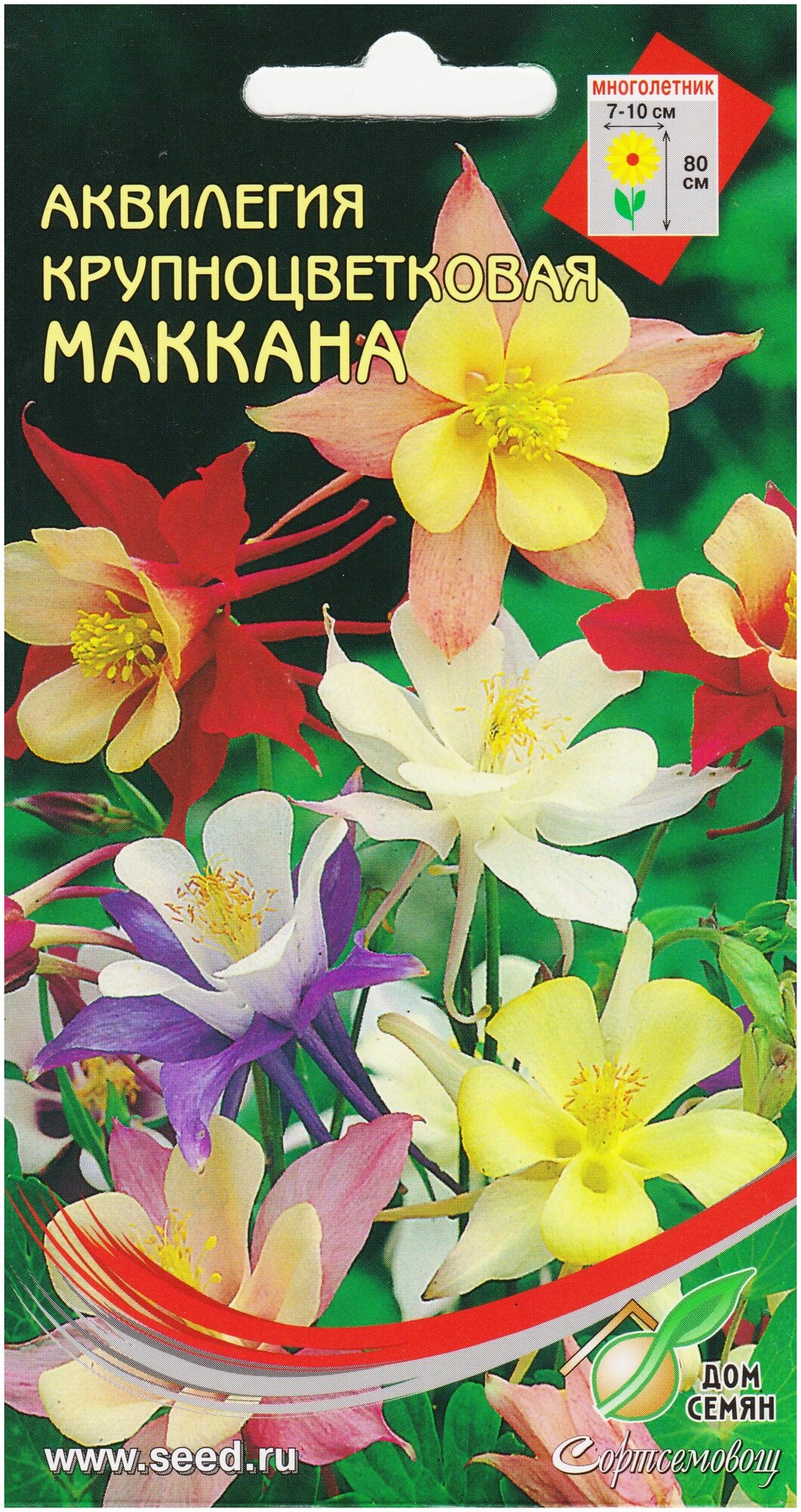 Семена цветов Аквилегия крупноцветковая "Маккана", 50 шт
