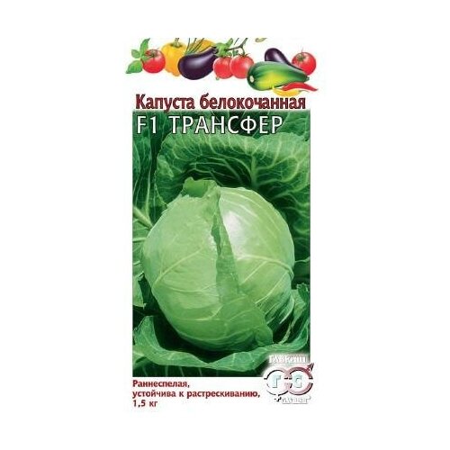 Семена. Капуста белокочанная Трансфер F1 (10 пакетов по 0,1 г) (количество товаров в комплекте: 10)