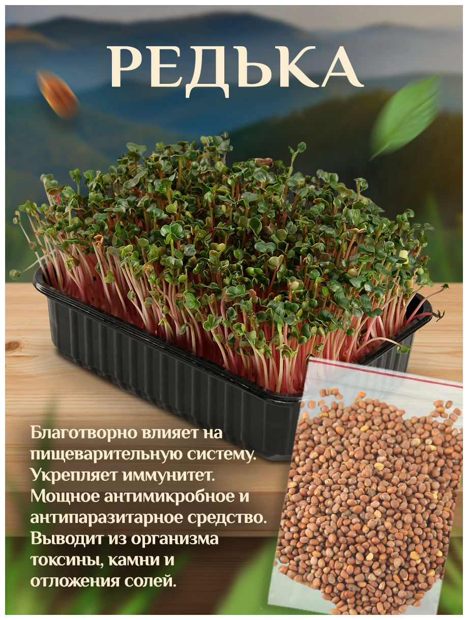Набор для выращивания микрозелени Удачная 10-ка, 10 урожаев свежей зелени - фотография № 8