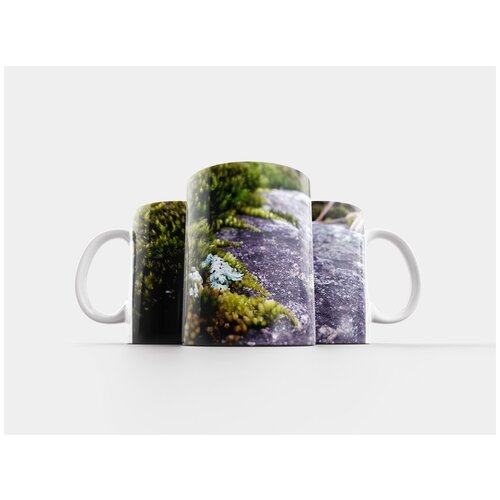 фото Кружка "мох, лишайник, рок" 320 мл lotsprints