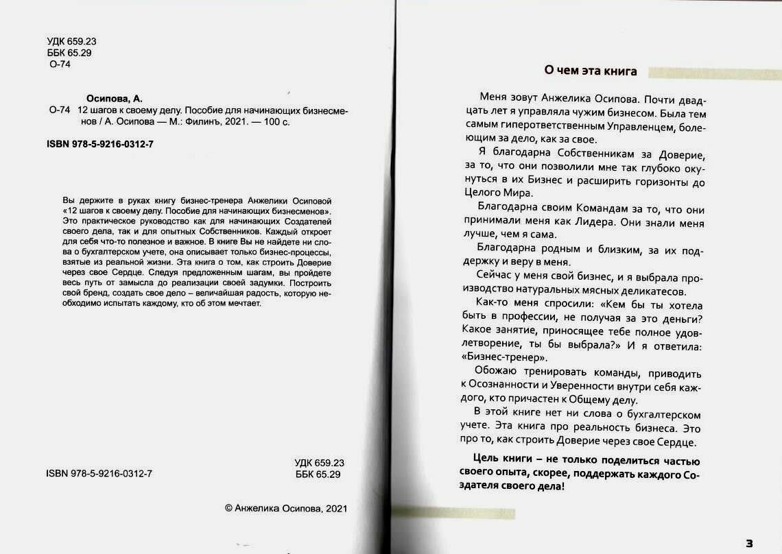 12 шагов к своему делу. Пособие для начинающих бизнесменов
