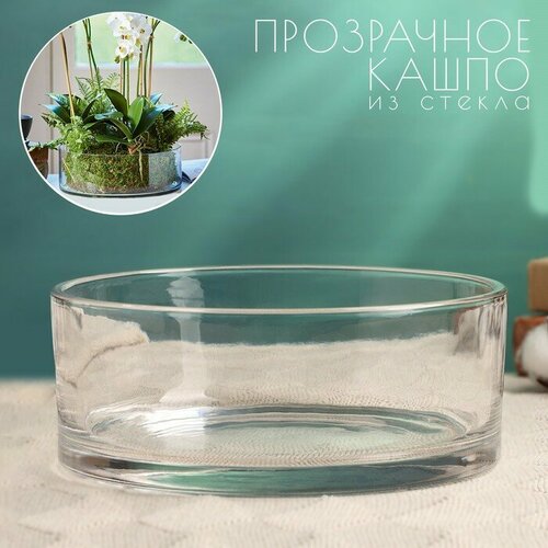 Кашпо Эллен круглое 8х20см 1585₽