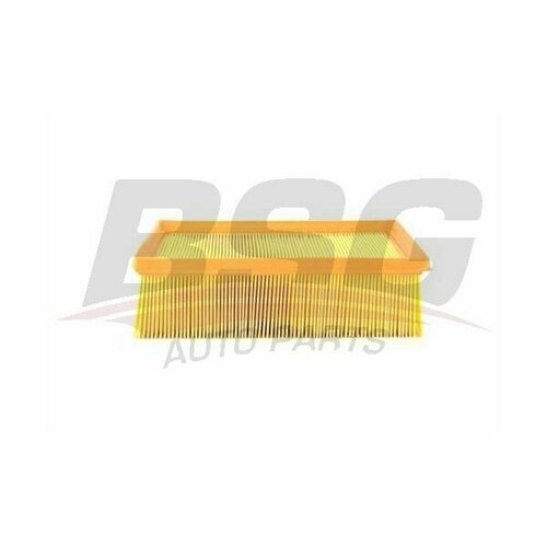 Фильтр BSG BSG 70-135-005 413₽