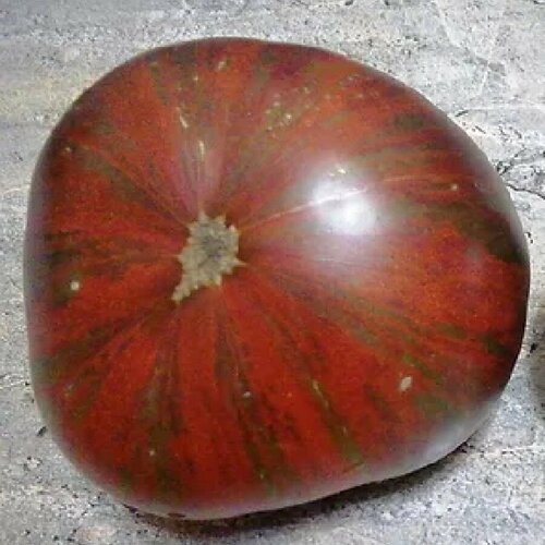 Семена Орешка Томат Гном Восторг Диппера 10 шт.