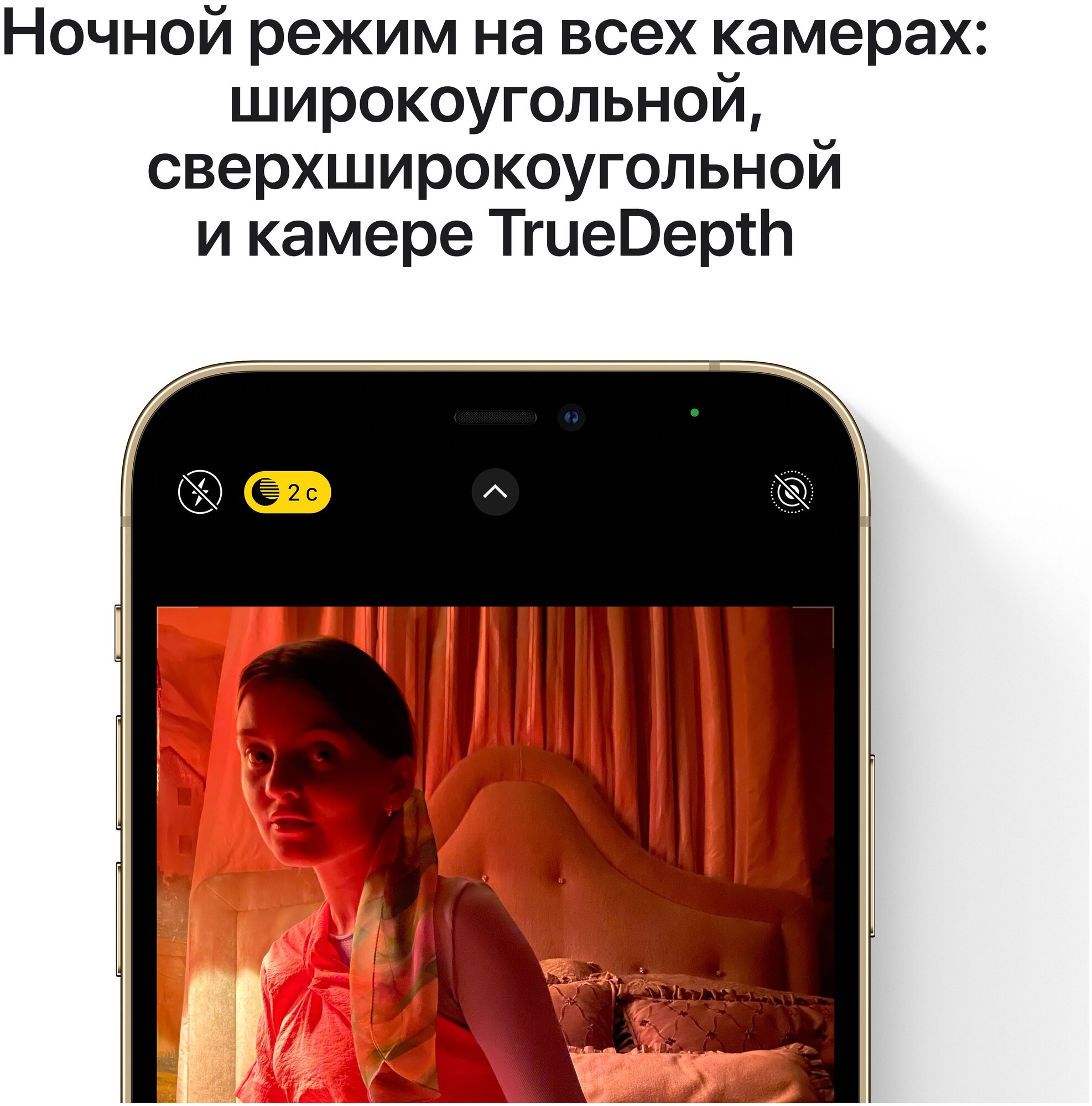 Смартфон Apple iPhone 12 Pro Max A2411 "Как новый" 256ГБ, графитовый (fgdc3b/a) - фото №11