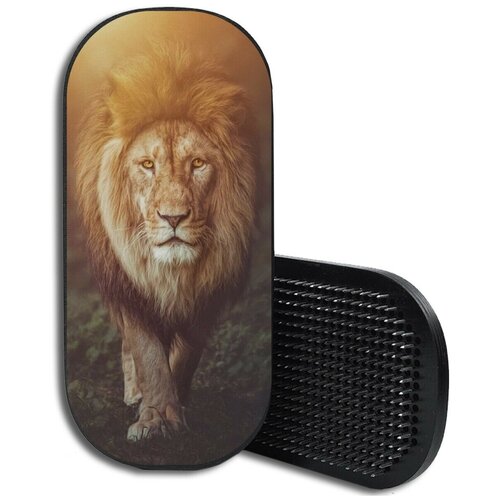 фото Доска садху для йоги с гвоздями, уф печать, овал животные лев - 3547 woodart