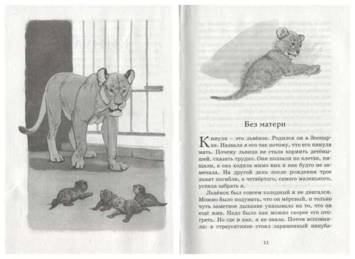 Фомка - белый медвежонок (Чаплина Вера Васильевна) - фото №11