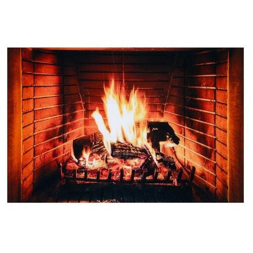 Фотофон винил Камин 100х150 см 1013₽
