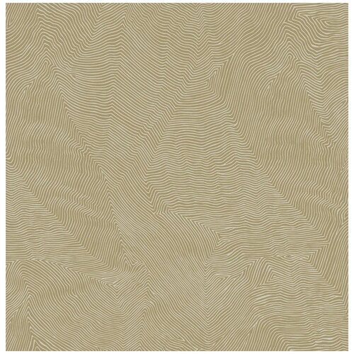 Дизайнерские виниловые обои Trendsetter Thom TH9902 0,53 х 10,05 м