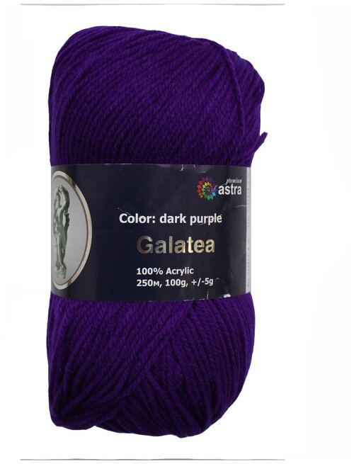 Пряжа для вязания Astra Premium Галатея 100гр. 250м (100% акрил) (15 темно-фиолетовый), 3 мотка