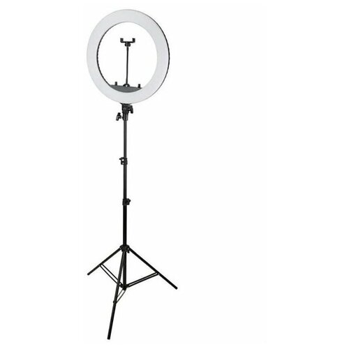 Кольцевая селфи-лампа LED SOFT RING LIGHT RL-21 54см со штативом 210см 499000₽