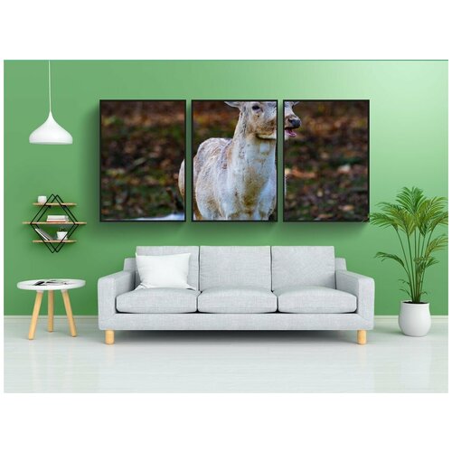 фото Набор модулных постеров для интерьера "природа, лес, животное" 60x90 см. в тубусе, без рамки lotsprints