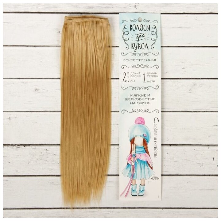 Волосы-тресс для кукол Школа талантов "Прямые", длина волос: 25 см, ширина: 100 см, цвет № 15