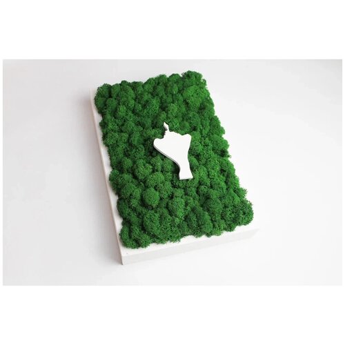 Живая эко-картина для интерьера 20х30см с изображением 